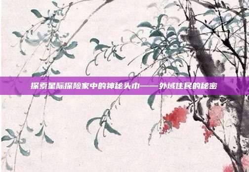 探索星际探险家中的神秘头巾——外域住民的秘密