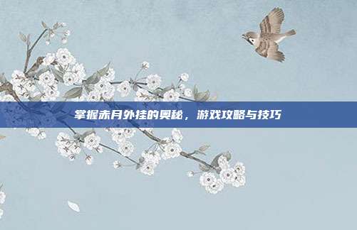 掌握赤月外挂的奥秘，游戏攻略与技巧