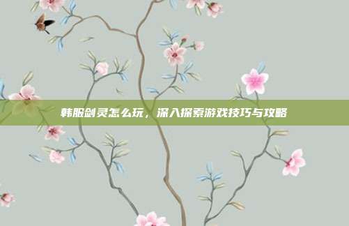 韩服剑灵怎么玩,深入探索游戏技巧与攻略