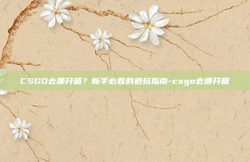 CSGO去哪开箱？新手必看的避坑指南-csgo去哪开箱