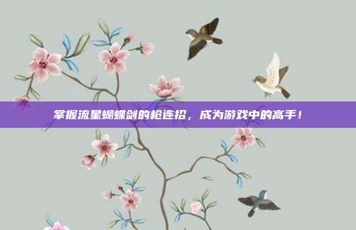 掌握流星蝴蝶剑的枪连招,成为游戏中的高手!