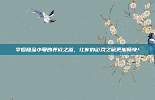 掌握极品小号的养成之道,让你的游戏之旅更加畅快!