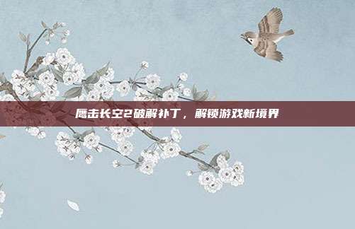 鹰击长空2破解补丁，解锁游戏新境界