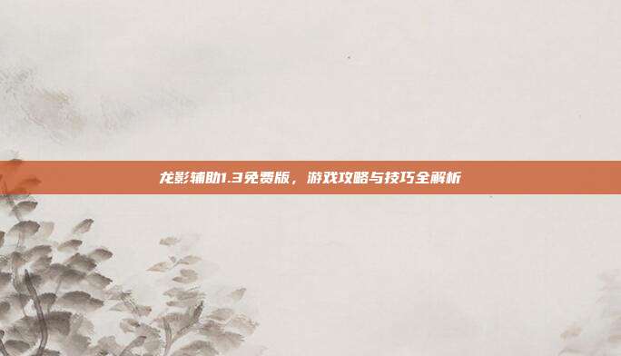 龙影辅助1.3免费版，游戏攻略与技巧全解析