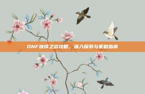 DNF抉择之沼攻略，深入探索与策略指南