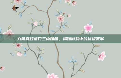 九阴真经唐门三内秘籍，揭秘游戏中的终极武学