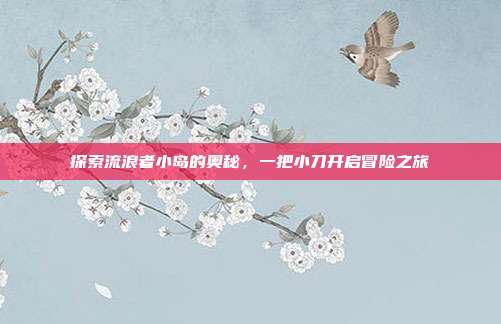 探索流浪者小岛的奥秘，一把小刀开启冒险之旅