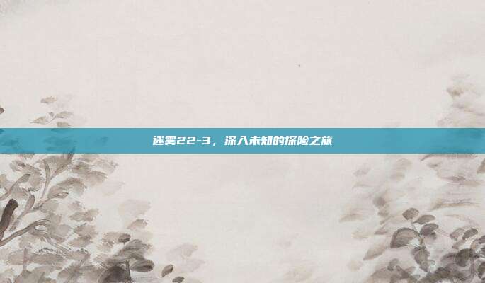 迷雾22-3,深入未知的探险之旅