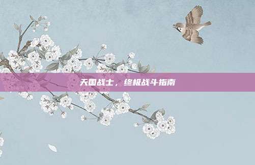 天国战士,终极战斗指南