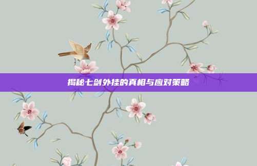 揭秘七剑外挂的真相与应对策略