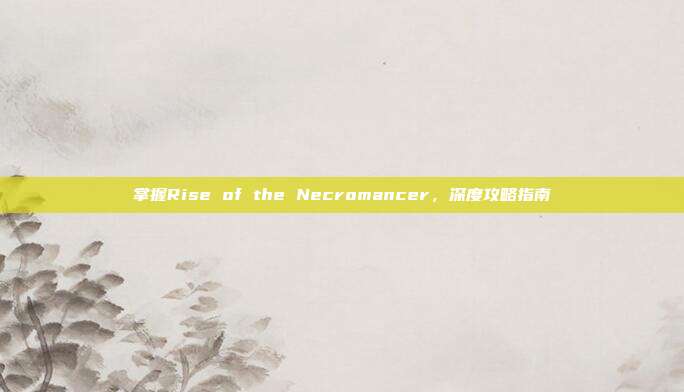 掌握Rise of the Necromancer,深度攻略指南