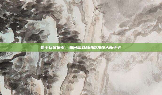 新手玩家指南,如何高效利用御龙在天新手卡