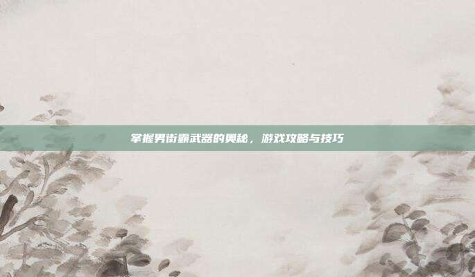 掌握男街霸武器的奥秘,游戏攻略与技巧