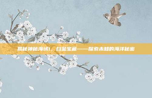 揭秘神秘海域1,白金宝藏——探索未知的海洋秘密