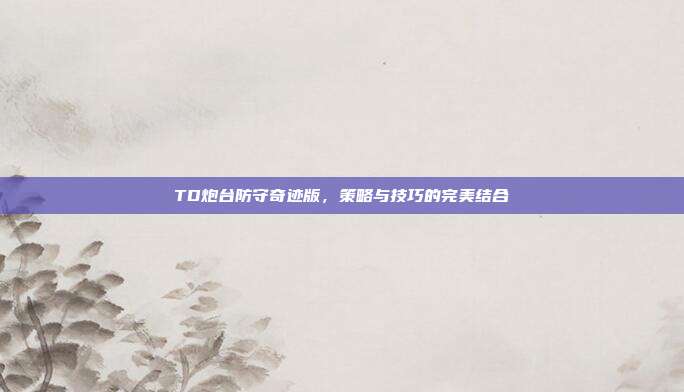 TD炮台防守奇迹版,策略与技巧的完美结合