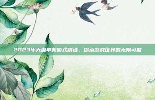 2023年大型单机游戏精选,探索游戏世界的无限可能