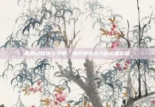 鹿鼎记媒体卡攻略,提升角色实力的必备秘籍