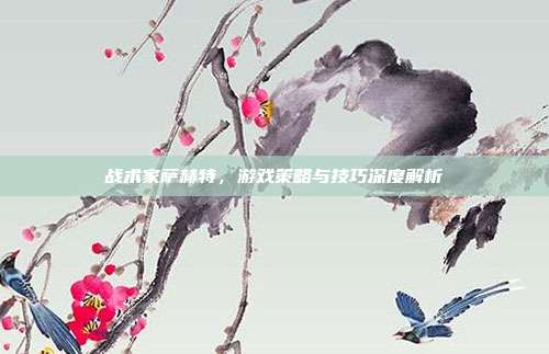 战术家萨赫特,游戏策略与技巧深度解析