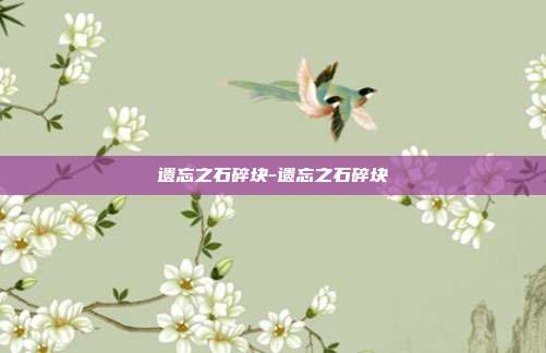 遗忘之石碎块-遗忘之石碎块