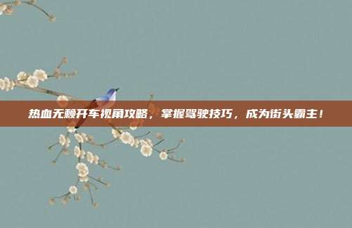 热血无赖开车视角攻略,掌握驾驶技巧,成为街头霸主!