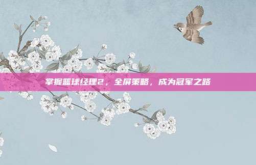 掌握篮球经理2,全屏策略,成为冠军之路