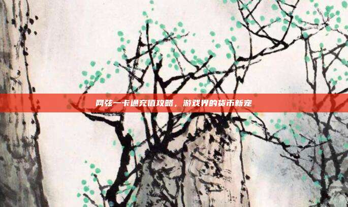 网弦一卡通充值攻略,游戏界的货币新宠