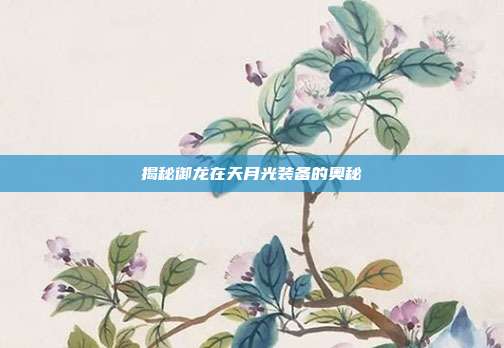 揭秘御龙在天月光装备的奥秘