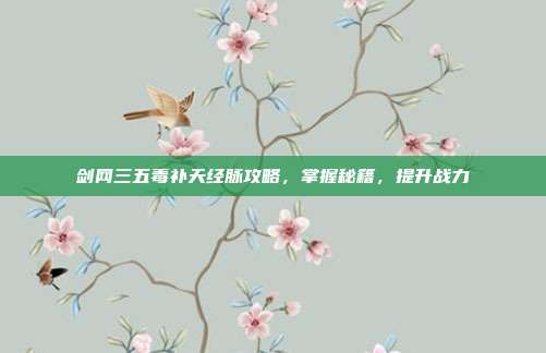 剑网三五毒补天经脉攻略,掌握秘籍,提升战力