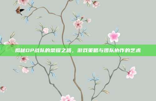 揭秘DP战队的荣耀之路,游戏策略与团队协作的艺术