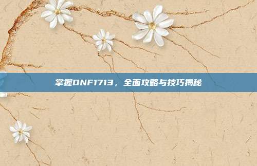 掌握DNF1713，全面攻略与技巧揭秘