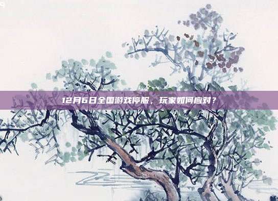 12月6日全国游戏停服，玩家如何应对？