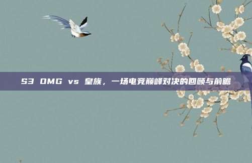 S3 OMG vs 皇族,一场电竞巅峰对决的回顾与前瞻