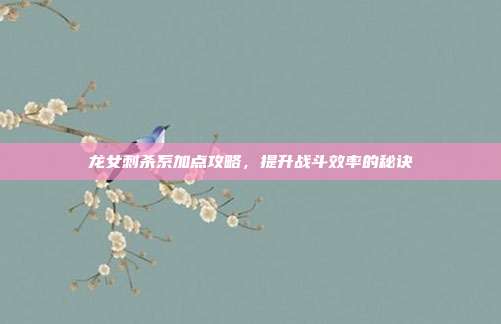 龙女刺杀系加点攻略,提升战斗效率的秘诀