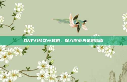 DNF幻梦次元攻略,深入探索与策略指南