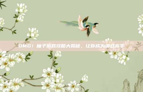 OMG!柚子游戏攻略大揭秘,让你成为游戏高手