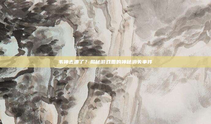 韦神去哪了?揭秘游戏圈的神秘消失事件