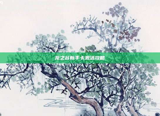 龙之谷新手卡激活攻略