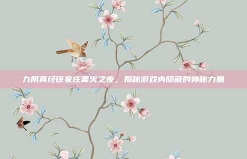 九阴真经徐家庄篝火之夜,揭秘游戏内隐藏的神秘力量