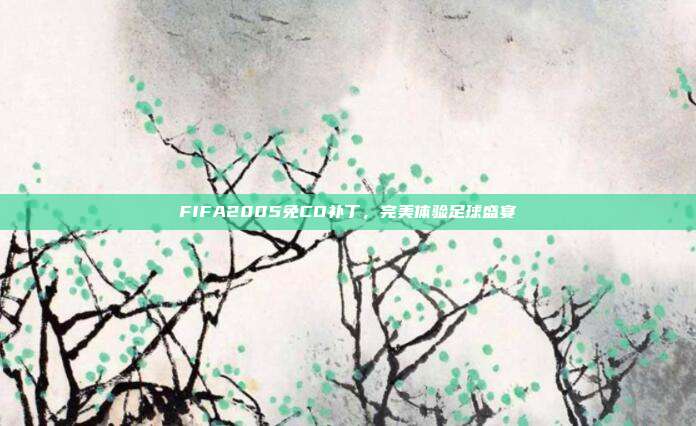 FIFA2005免CD补丁，完美体验足球盛宴