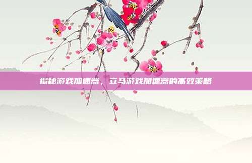 揭秘游戏加速器，立马游戏加速器的高效策略