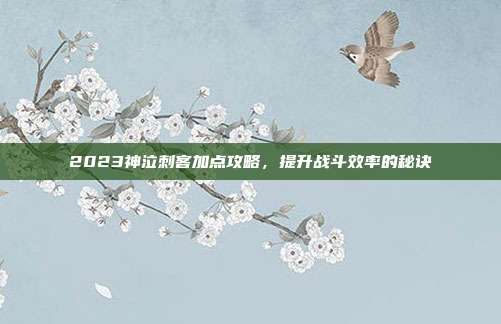 2023神泣刺客加点攻略,提升战斗效率的秘诀