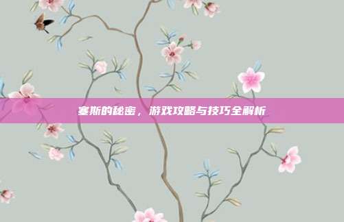 塞斯的秘密,游戏攻略与技巧全解析