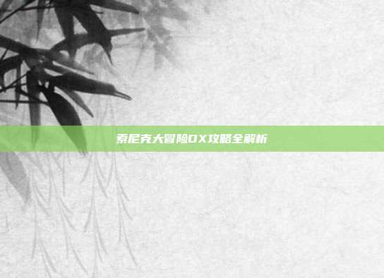 索尼克大冒险DX攻略全解析