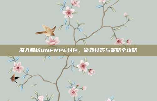 深入解析DNFWPE封包,游戏技巧与策略全攻略