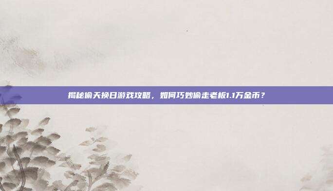 揭秘偷天换日游戏攻略，如何巧妙偷走老板1.1万金币？