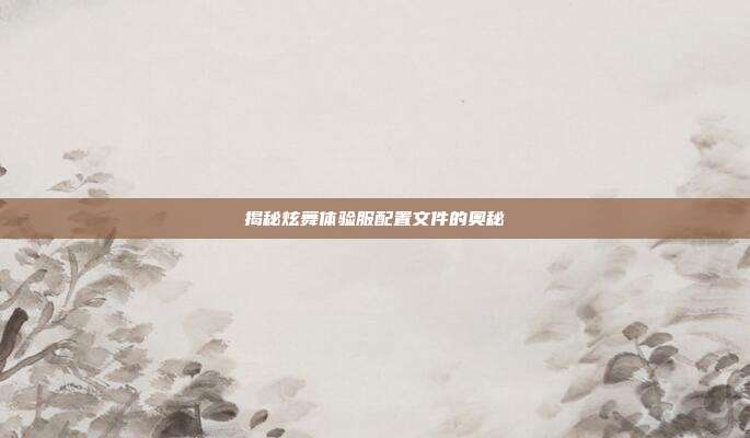 揭秘炫舞体验服配置文件的奥秘