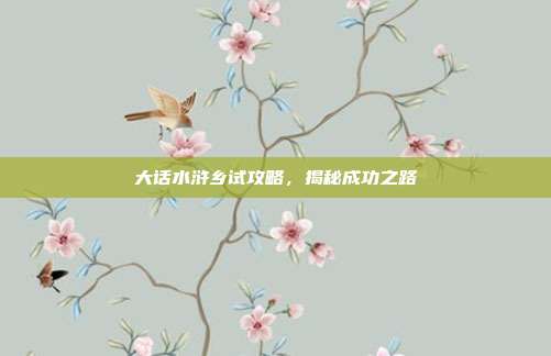 大话水浒乡试攻略，揭秘成功之路