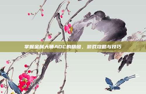 掌握金属大师ADC的精髓,游戏攻略与技巧