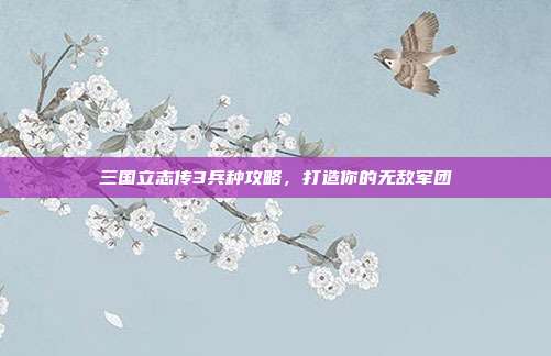 三国立志传3兵种攻略,打造你的无敌军团