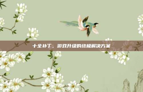 十全补丁,游戏升级的终极解决方案